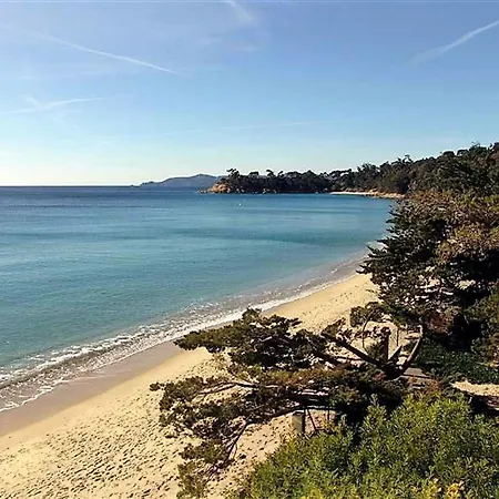 T2 Climatisé Avec Piscine, Terrasse, Parking Et Wi-fi - 4 Couchages, - Fr-1-251-540 Le Lavandou