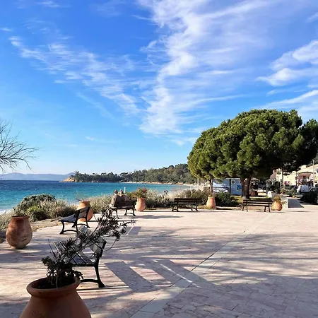 Appartamento T2 Climatisé Avec Piscine, Terrasse, Parking Et Wi-fi - 4 Couchages, - Fr-1-251-540 Le Lavandou